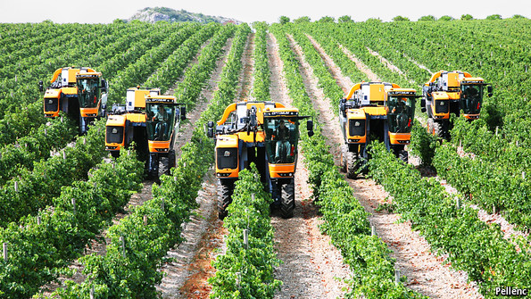 agribusiness2
