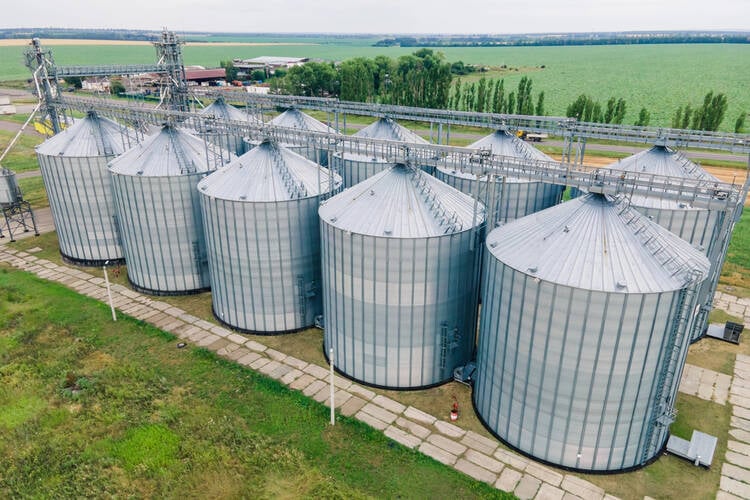 agro processing business ideas