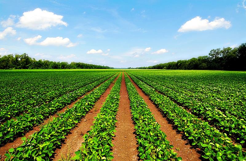 agribusiness funding2